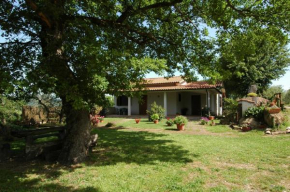 Agriturismo San Vincenzo Sovana